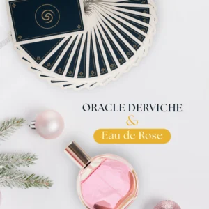 Coffret de Noël – Édition Limitée