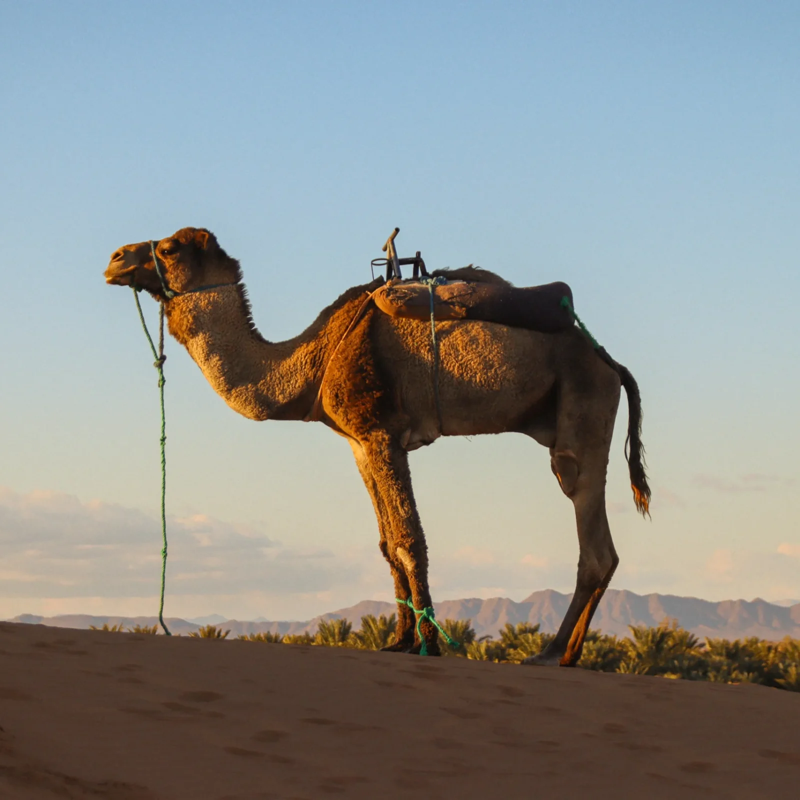 La Caravane du Souffle - Maroc (1)